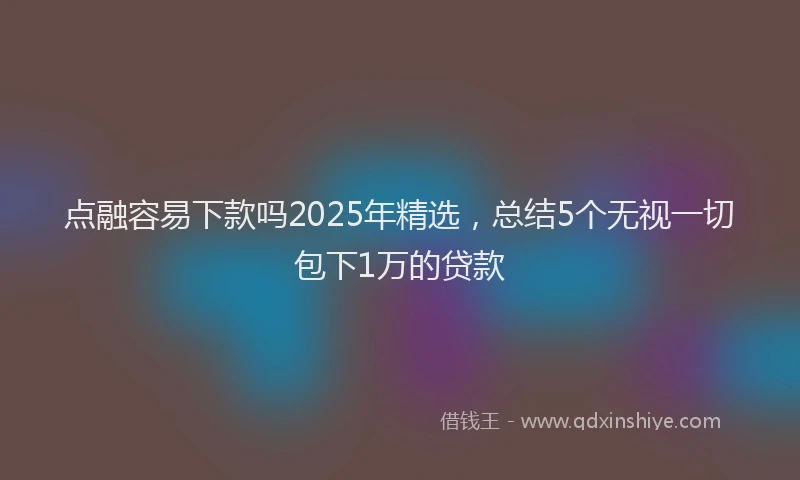 点融容易下款吗2025年精选，总结5个无视一切包下1万的贷款