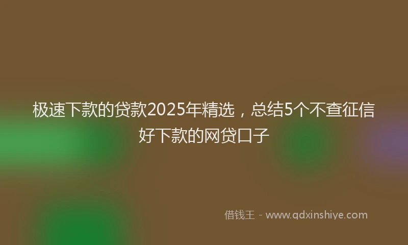极速下款的贷款2025年精选，总结5个不查征信好下款的网贷口子