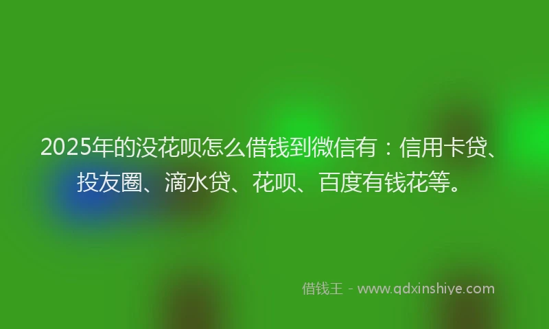 2025年的没花呗怎么借钱到微信有:信用卡贷、投友圈、滴水贷、花呗、百度有钱花等。
