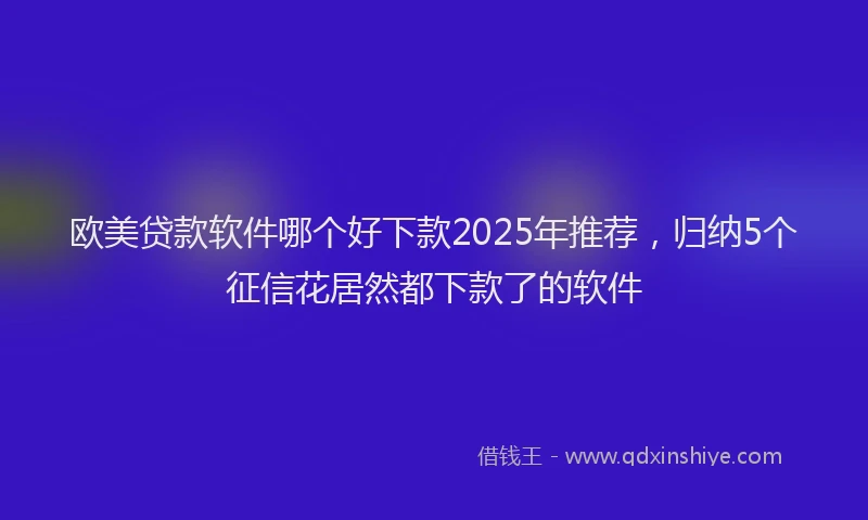 欧美贷款软件哪个好下款2025年推荐，归纳5个征信花居然都下款了的软件