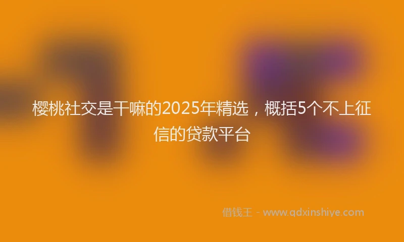 樱桃社交是干嘛的2025年精选，概括5个不上征信的贷款平台
