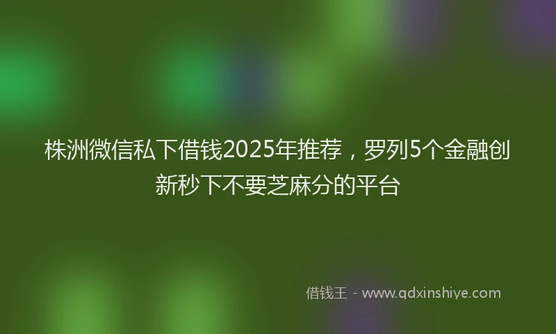 株洲微信私下借钱2025年推荐，罗列5个金融创新秒下不要芝麻分的平台