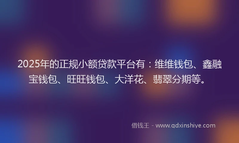 2025年的正规小额贷款平台有：维维钱包、鑫融宝钱包、旺旺钱包、大洋花、翡翠分期等。