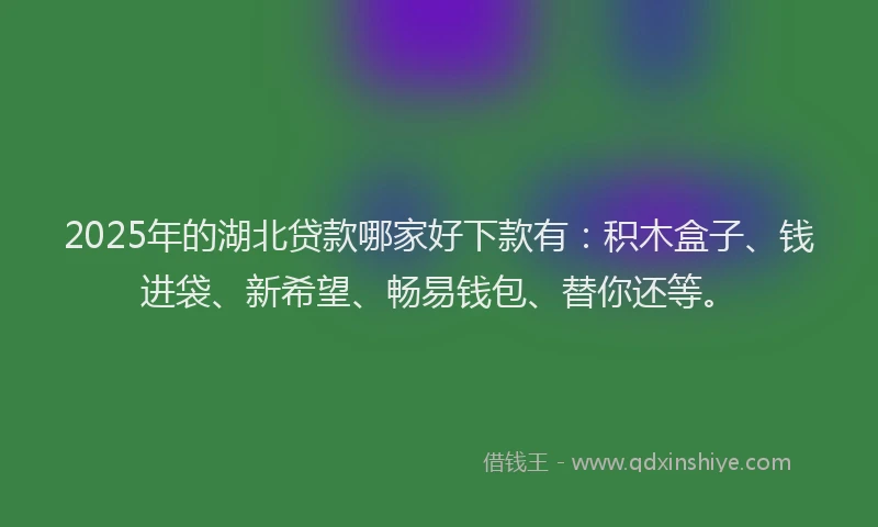 2025年的湖北贷款哪家好下款有：积木盒子、钱进袋、新希望、畅易钱包、替你还等。