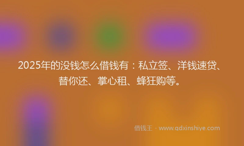 2025年的没钱怎么借钱有：私立签、洋钱速贷、替你还、掌心租、蜂狂购等。