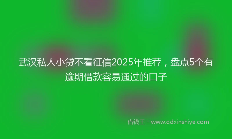 武汉私人小贷不看征信2025年推荐，盘点5个有逾期借款容易通过的口子