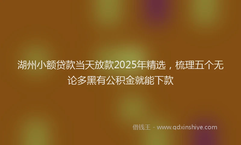 湖州小额贷款当天放款2025年精选，梳理五个无论多黑有公积金就能下款