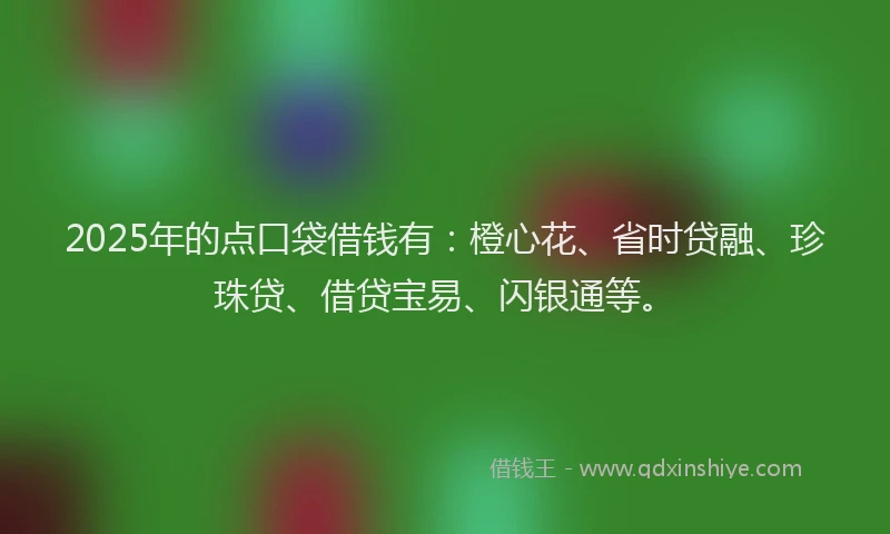 2025年的点口袋借钱有：橙心花、省时贷融、珍珠贷、借贷宝易、闪银通等。