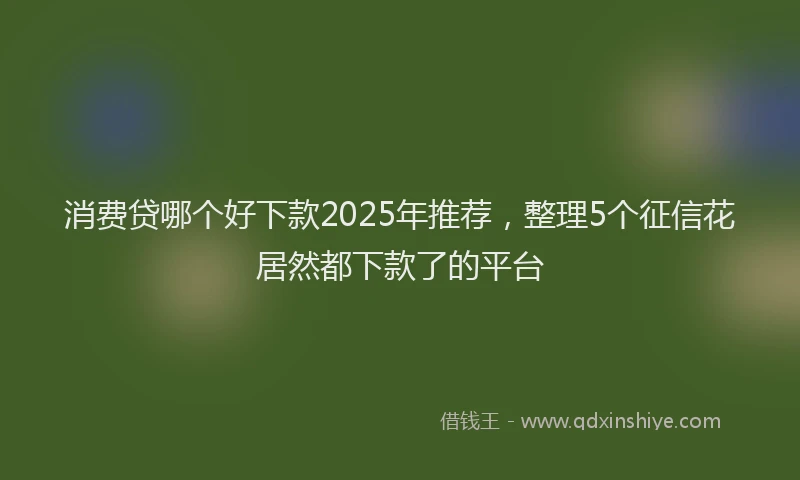 消费贷哪个好下款2025年推荐，整理5个征信花居然都下款了的平台
