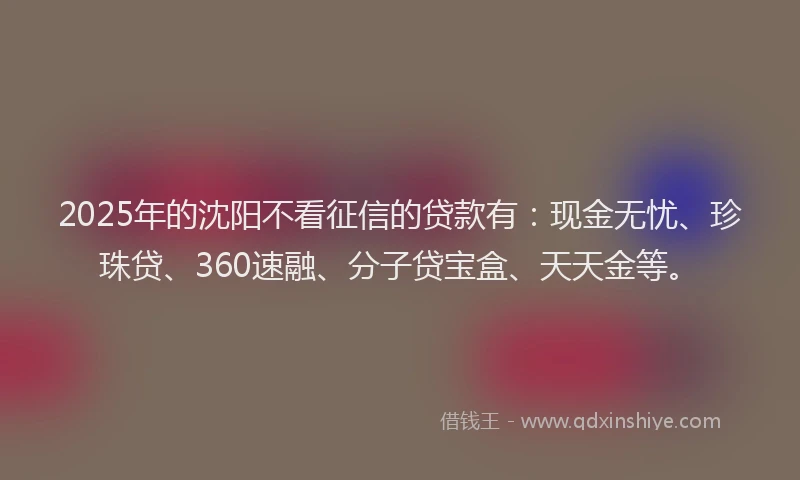2025年的沈阳不看征信的贷款有：现金无忧、珍珠贷、360速融、分子贷宝盒、天天金等。