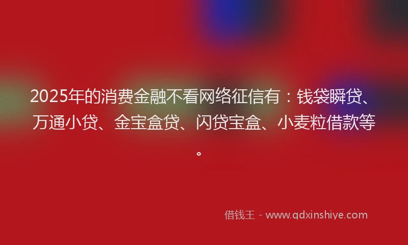 2025年的消费金融不看网络征信有：钱袋瞬贷、万通小贷、金宝盒贷、闪贷宝盒、小麦粒借款等。