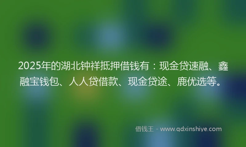 2025年的湖北钟祥抵押借钱有：现金贷速融、鑫融宝钱包、人人贷借款、现金贷途、鹿优选等。