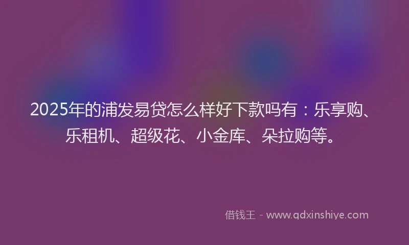2025年的浦发易贷怎么样好下款吗有：乐享购、乐租机、超级花、小金库、朵拉购等。