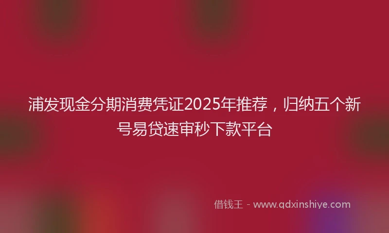 浦发现金分期消费凭证2025年推荐，归纳五个新号易贷速审秒下款平台