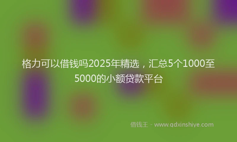 格力可以借钱吗2025年精选，汇总5个1000至5000的小额贷款平台