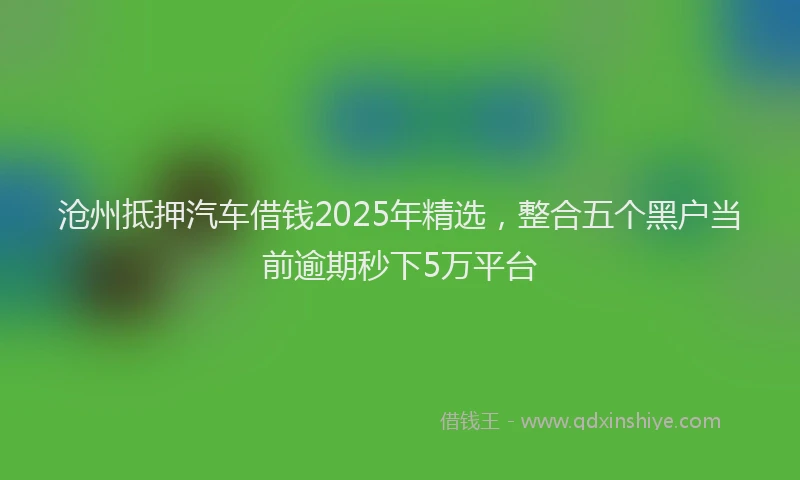 沧州抵押汽车借钱2025年精选，整合五个黑户当前逾期秒下5万平台