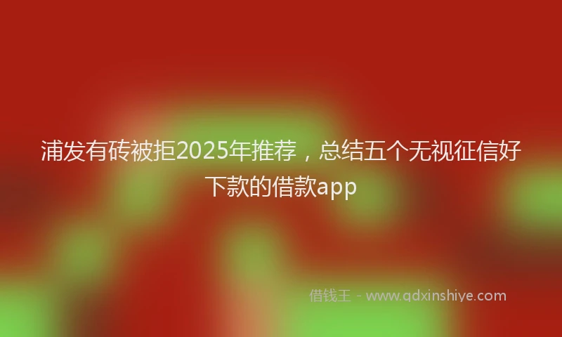 浦发有砖被拒2025年推荐，总结五个无视征信好下款的借款app