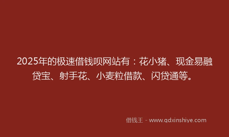 2025年的极速借钱呗网站有：花小猪、现金易融贷宝、射手花、小麦粒借款、闪贷通等。
