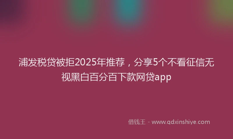 浦发税贷被拒2025年推荐，分享5个不看征信无视黑白百分百下款网贷app