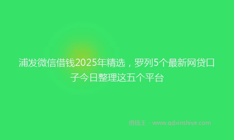 浦发微信借钱2025年精选，罗列5个最新网贷口子今日整理这五个平台