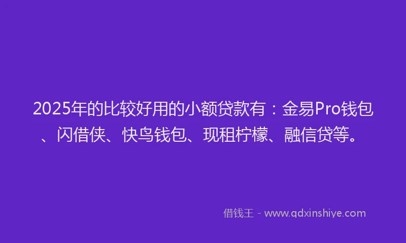 2025年的比较好用的小额贷款有：金易Pro钱包、闪借侠、快鸟钱包、现租柠檬、融信贷等。