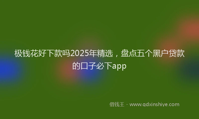 极钱花好下款吗2025年精选，盘点五个黑户贷款的口子必下app