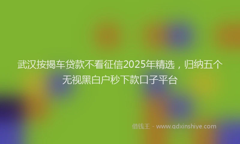 武汉按揭车贷款不看征信2025年精选，归纳五个无视黑白户秒下款口子平台