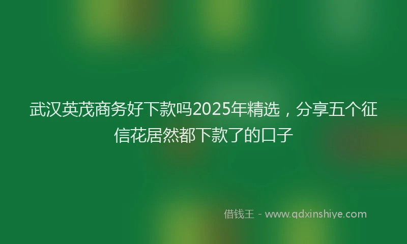 武汉英茂商务好下款吗2025年精选，分享五个征信花居然都下款了的口子
