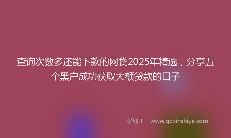 查询次数多还能下款的网贷2025年精选，分享五个黑户成功获取大额贷款的口子