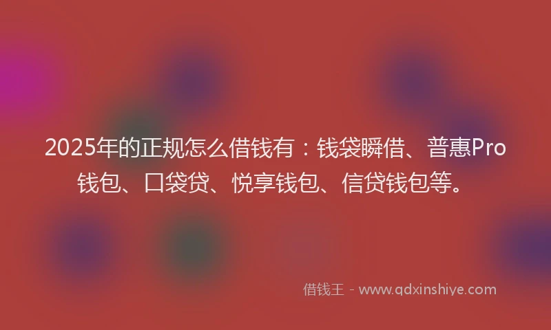 2025年的正规怎么借钱有：钱袋瞬借、普惠Pro钱包、口袋贷、悦享钱包、信贷钱包等。