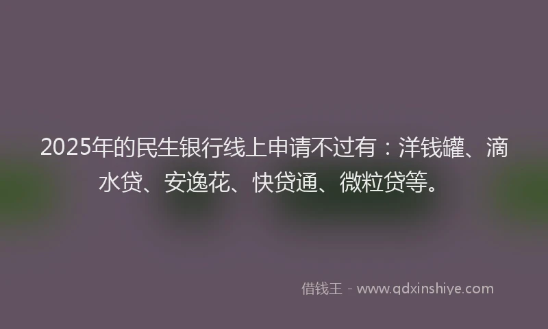 2025年的民生银行线上申请不过有：洋钱罐、滴水贷、安逸花、快贷通、微粒贷等。