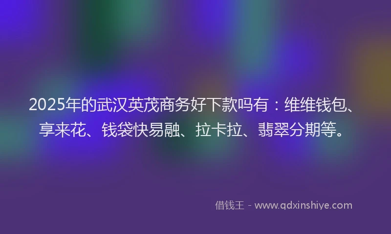 2025年的武汉英茂商务好下款吗有：维维钱包、享来花、钱袋快易融、拉卡拉、翡翠分期等。