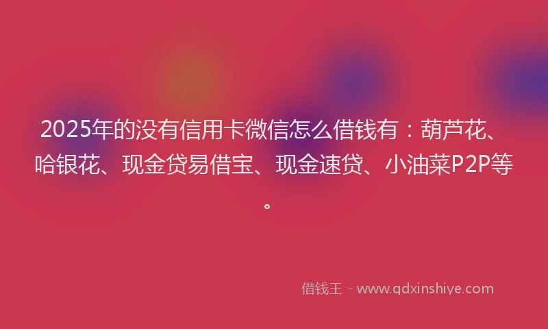 2025年的没有信用卡微信怎么借钱有：葫芦花、哈银花、现金贷易借宝、现金速贷、小油菜P2P等。