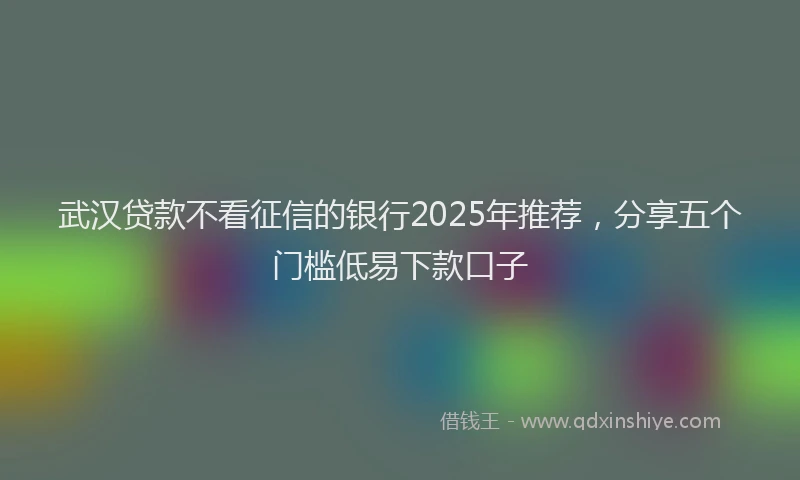 武汉贷款不看征信的银行2025年推荐，分享五个门槛低易下款口子