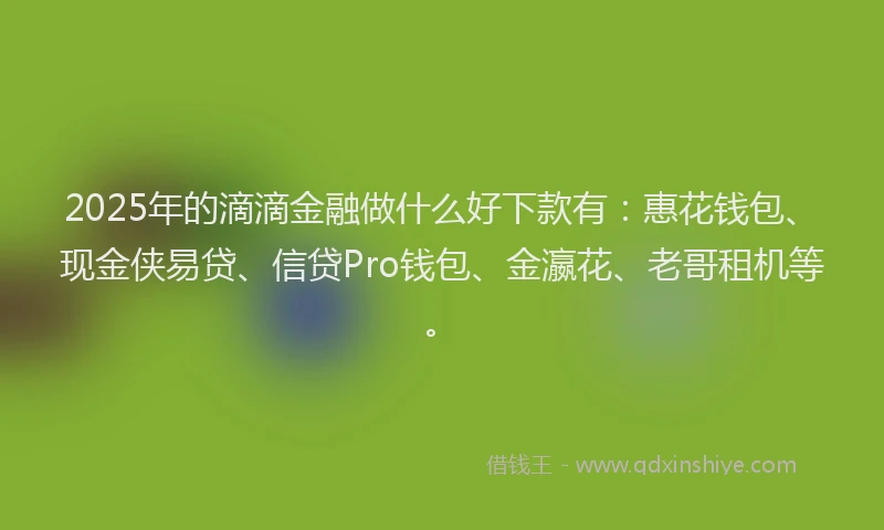 2025年的滴滴金融做什么好下款有：惠花钱包、现金侠易贷、信贷Pro钱包、金瀛花、老哥租机等。