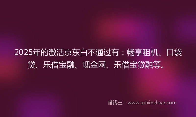 2025年的激活京东白不通过有：畅享租机、口袋贷、乐借宝融、现金网、乐借宝贷融等。