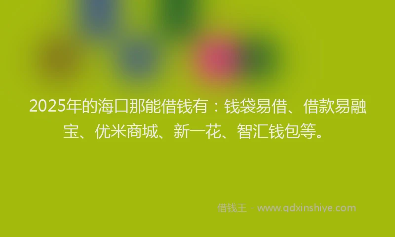 2025年的海口那能借钱有：钱袋易借、借款易融宝、优米商城、新一花、智汇钱包等。