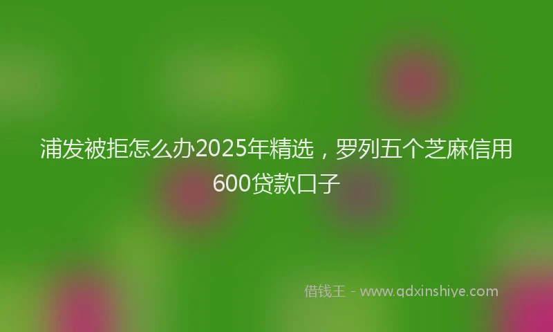 浦发被拒怎么办2025年精选，罗列五个芝麻信用600贷款口子