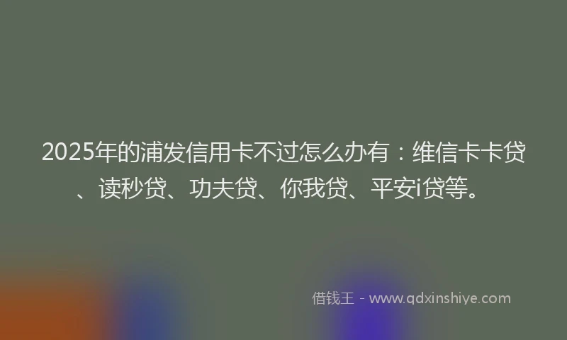 2025年的浦发信用卡不过怎么办有：维信卡卡贷、读秒贷、功夫贷、你我贷、平安i贷等。
