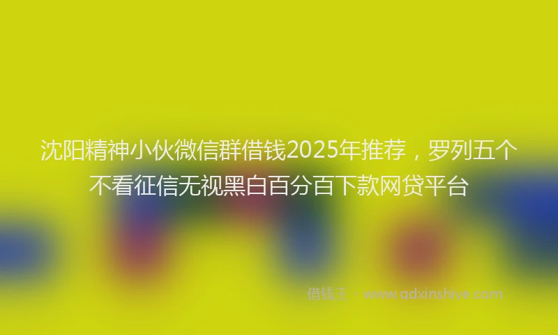沈阳精神小伙微信群借钱2025年推荐，罗列五个不看征信无视黑白百分百下款网贷平台