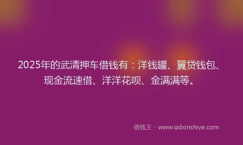 2025年的武清押车借钱有：洋钱罐、翼贷钱包、现金流速借、洋洋花呗、金满满等。