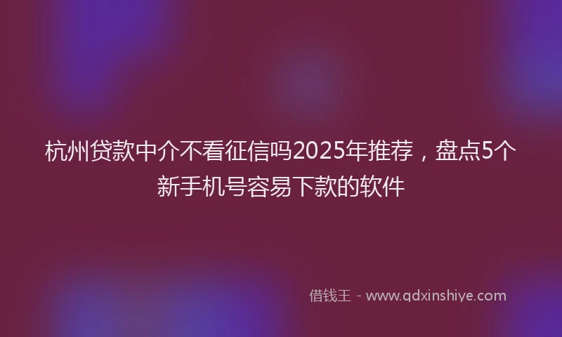 杭州贷款中介不看征信吗2025年推荐，盘点5个新手机号容易下款的软件