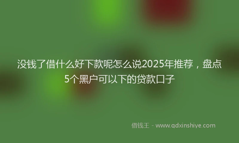 没钱了借什么好下款呢怎么说2025年推荐，盘点5个黑户可以下的贷款口子