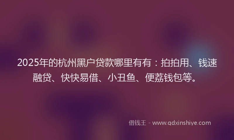 2025年的杭州黑户贷款哪里有有：拍拍用、钱速融贷、快快易借、小丑鱼、便荔钱包等。