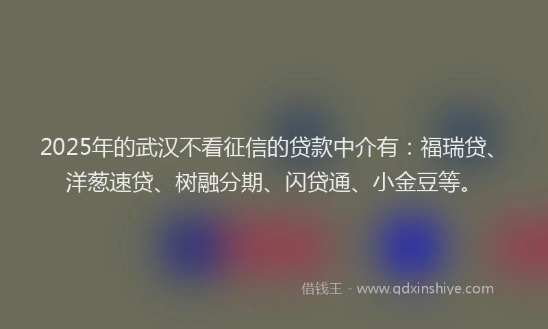 2025年的武汉不看征信的贷款中介有：福瑞贷、洋葱速贷、树融分期、闪贷通、小金豆等。