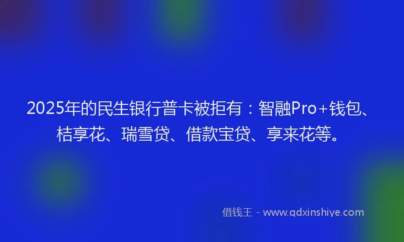 2025年的民生银行普卡被拒有：智融Pro+钱包、桔享花、瑞雪贷、借款宝贷、享来花等。