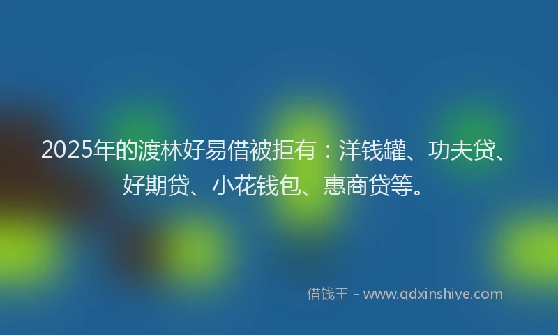 2025年的渡林好易借被拒有：洋钱罐、功夫贷、好期贷、小花钱包、惠商贷等。