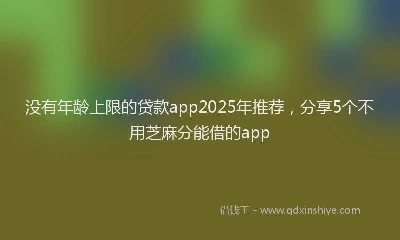 没有年龄上限的贷款app2025年推荐，分享5个不用芝麻分能借的app