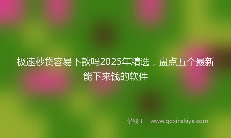 极速秒贷容易下款吗2025年精选，盘点五个最新能下来钱的软件