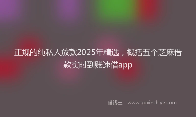 正规的纯私人放款2025年精选，概括五个芝麻借款实时到账速借app